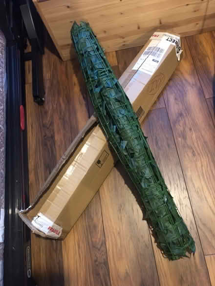 Photo of free Artificial IVY piece (Disraeli HP13) #1