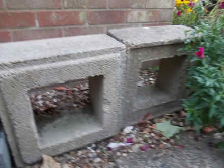 Photo of free Cement Blocks (CT19) #1