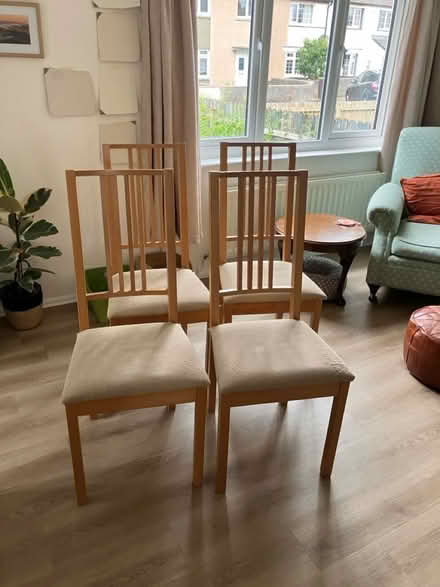 Photo of free 4 dining chairs (Cockermouth CA13) #1