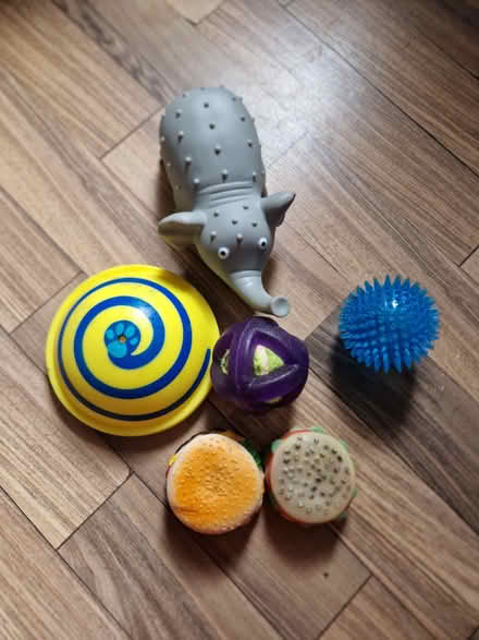 Photo of free Dogs Toys (2) (Wallasey) #1