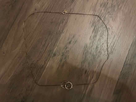 Photo of free Gold double hoop necklace (SW16) #1