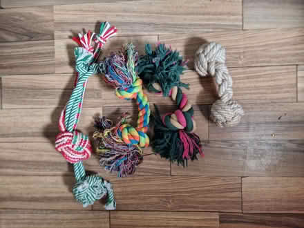 Photo of free Dog Toys (3) (Wallasey) #1