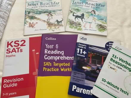 Photo of free 11+ books, SATS and two great reading books (DA3) #3