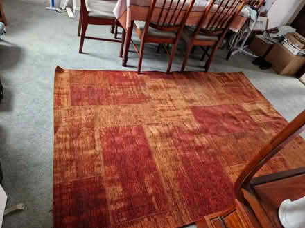 Photo of free Large rug (Crewe CW2) #1