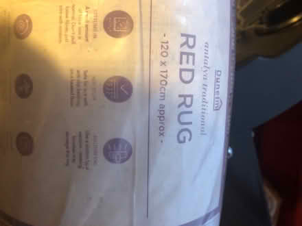 Photo of free Floor Rug (Disraeli HP13) #2