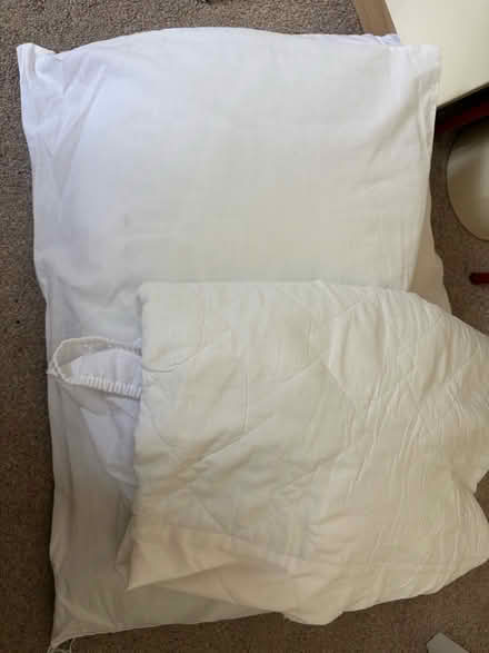 Photo of free Pet Bedding? (Findern DE65) #1