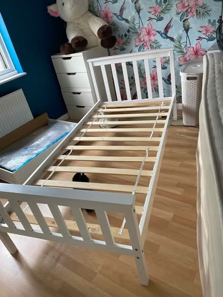 Photo of free Single bed (Oxford OX1) #3