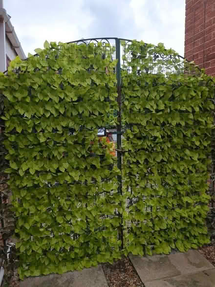 Photo of free Artificial leaf mesh covering (Saltney CH4) #2