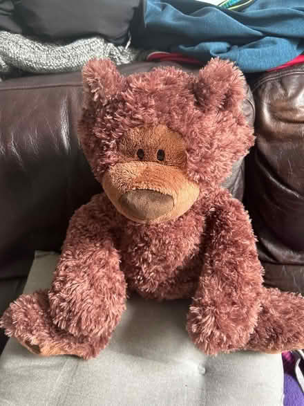 Photo of free Brown soft toy bear (Deepdale PR1) #1