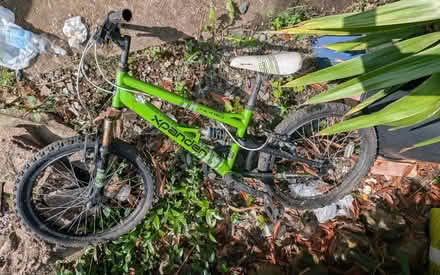 Photo of free Green boys bike (Aspley NG8) #1