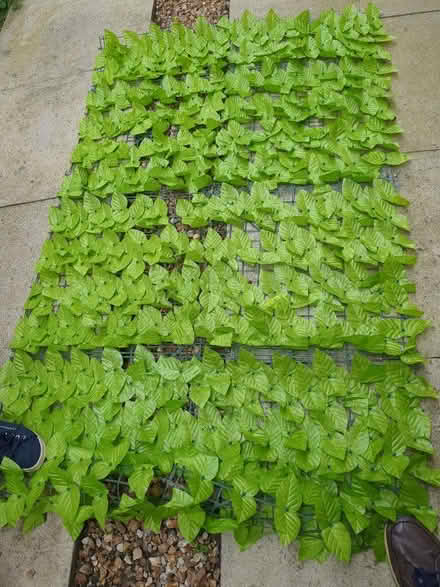 Photo of free Artificial leaf mesh covering (Saltney CH4) #1