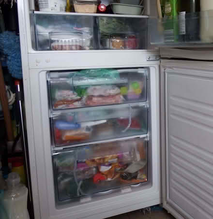 Photo of free Proline 50/50 Fridge Freezer (Vale LA1) #4