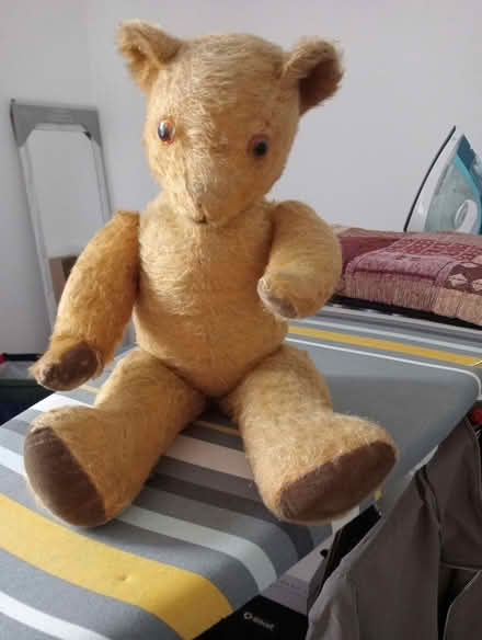 Photo of free Teddy bear (Penrith CA11) #1