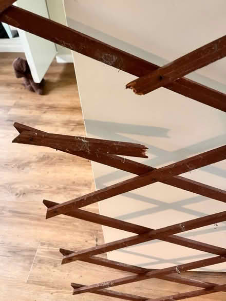 Photo of free Wooden Garden Trellis (BH17 9AF) #4