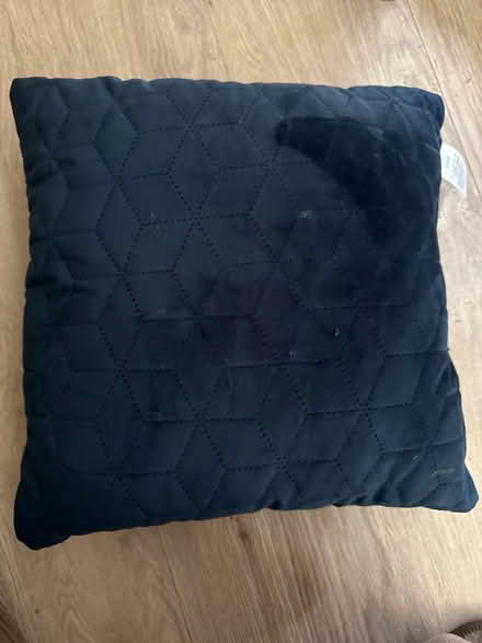 Photo of free Blue square cushion (Oswestry SY11) #1