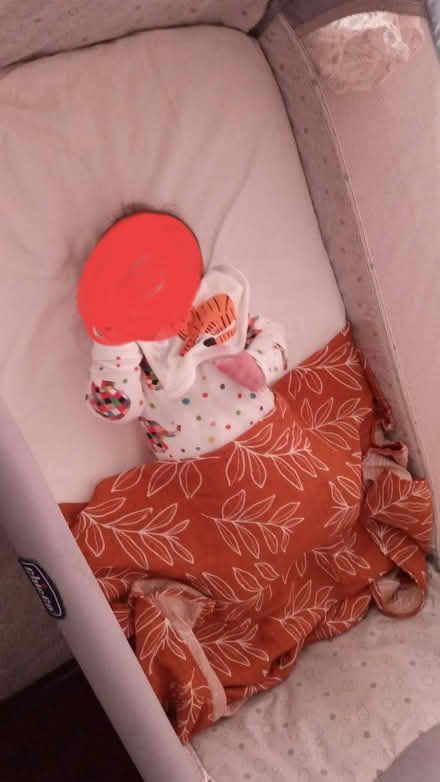 Photo of free Next to me cot (Levenshulme M19) #1