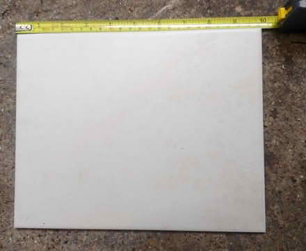 Photo of free Beige Wall Tiles (Lewes BN7) #1