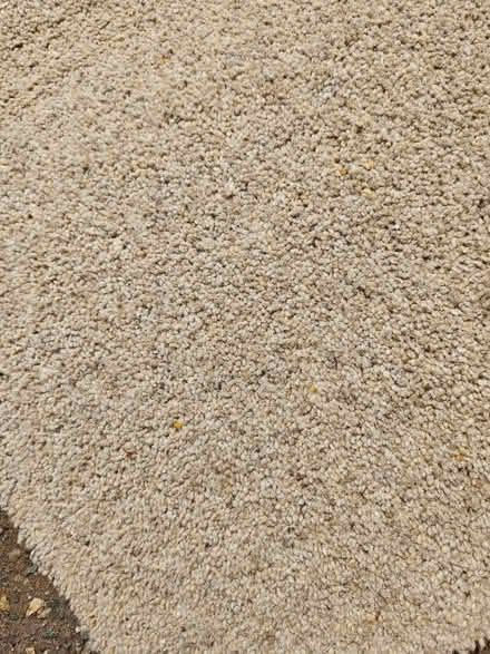 Photo of free Spare off cuts of carpet (Redditch B97) #3