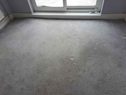 Photo of free Silver carpet and underlay (Heswall) #2