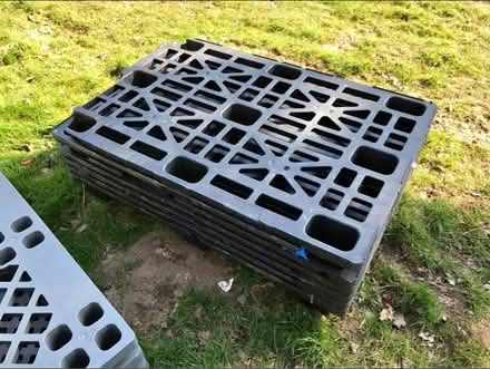 Photo of Plastic pallets (Sprowston NR7) #1