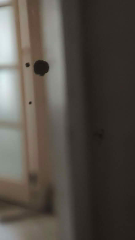 Photo of free Large, full length mirror (Tufnell Park N7) #2