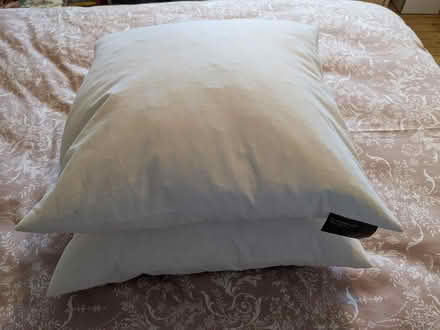 Photo of free Cushion pads (Woodstock OX20) #1