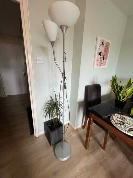 Photo of free Double lamp (New Cross) #1