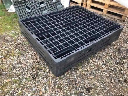 Photo of Plastic pallets (Sprowston NR7) #2