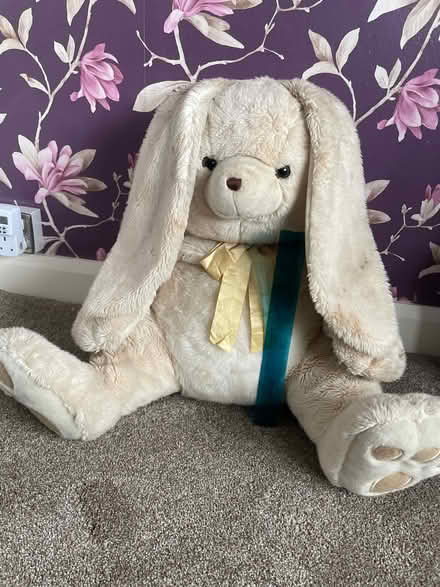Photo of free Large Cuddly bunny (Timperley WA15) #1