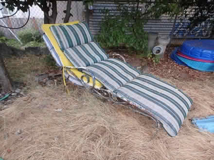 Photo of free Outdoor Chaise Lounge (Interbay/Queen Anne) #1