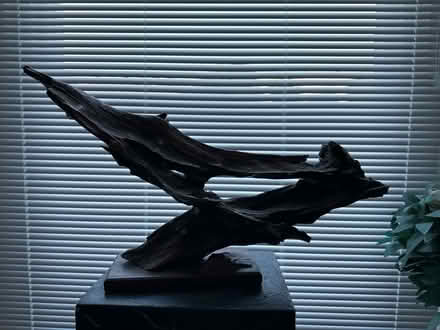 Photo of free Abstract drift wood sculpture (Hove, BN3) #1