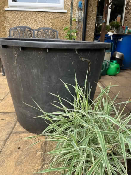 Photo of free Very large plant pot (Enfield EN1) #1