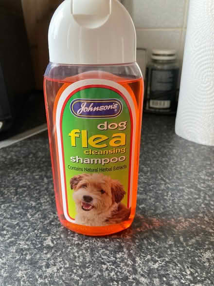 Photo of free Dog flea shampoo (Digmoor WN8) #1