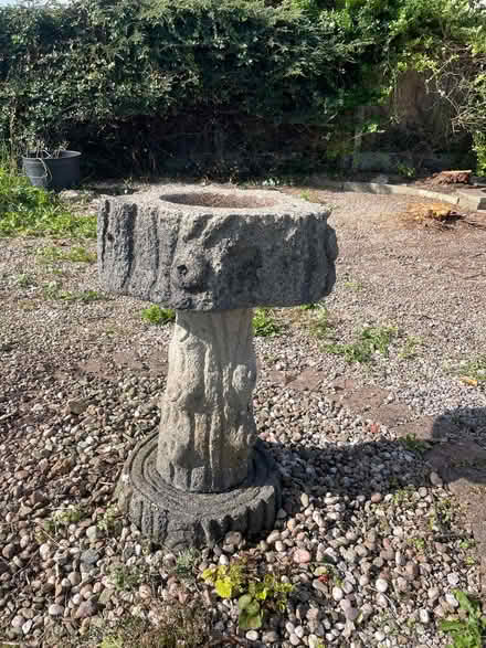 Photo of free Concrete bird bath (Warton LA5) #1