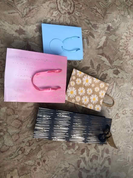 Photo of free Gift bags (Walderslade Bottom ME5) #1