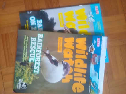 Photo of free Wildlife Watch kids magazine (Kennington OX1) #1