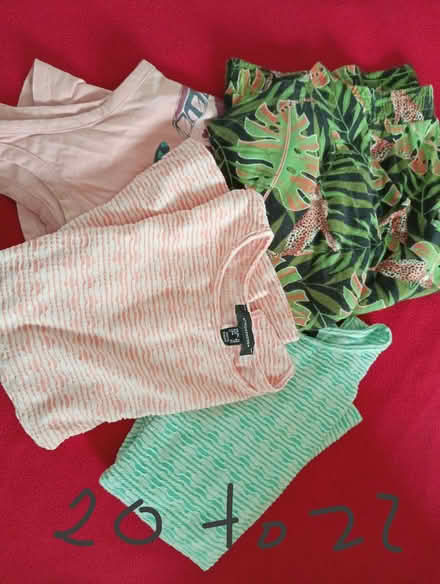 Photo of free Bag of women clothes (Bonnington EH6) #3