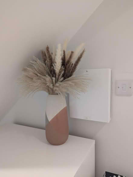 Photo of free Vase with pussy willlow (OX4 Boulter Street) #3