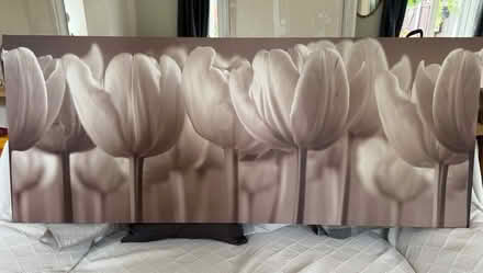 Photo of free TULIP PRINT framed picture (Collier row romford. RM5) #2