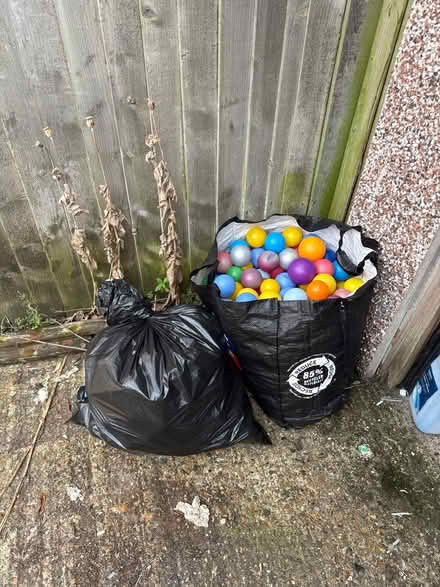 Photo of free Ball pit balls (GU22 Woking) #1