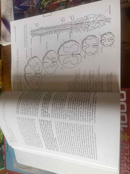 Photo of free Academic colouring book (Woodingdean BN2) #2