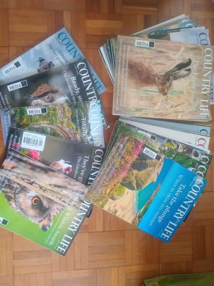 Photo of free Country Life magazines 2025 (Kennington OX1) #1