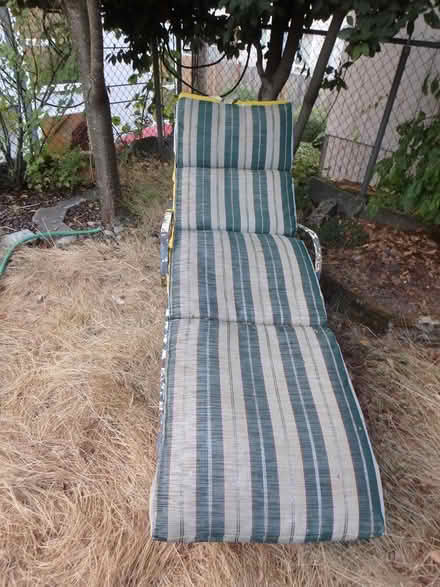 Photo of free Outdoor Chaise Lounge (Interbay/Queen Anne) #2