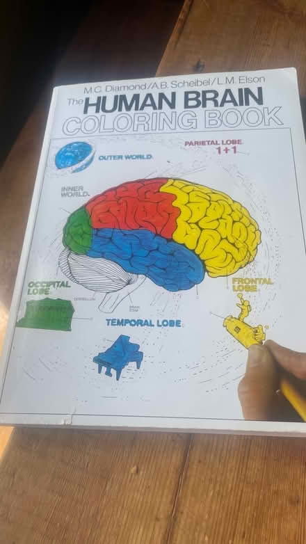 Photo of free Academic colouring book (Woodingdean BN2) #1