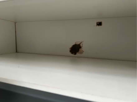 Photo of free Tv unit (Walderslade ME5) #3