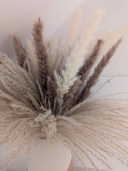 Photo of free Vase with pussy willlow (OX4 Boulter Street) #2