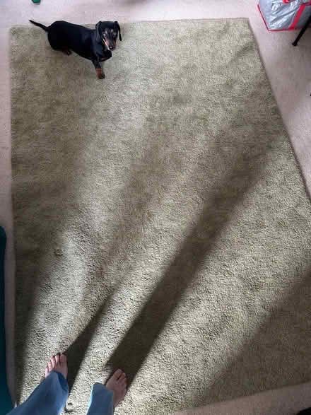 Photo of free Plush green rug, 1.9m x 2.4m (Woodley RG5) #1