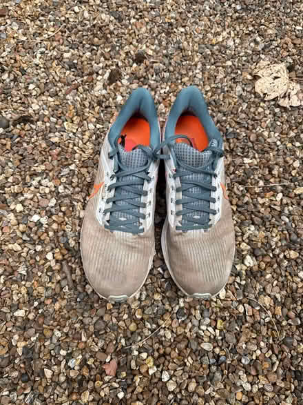 Photo of free Nike Pegasus running shoes (SE13) #1
