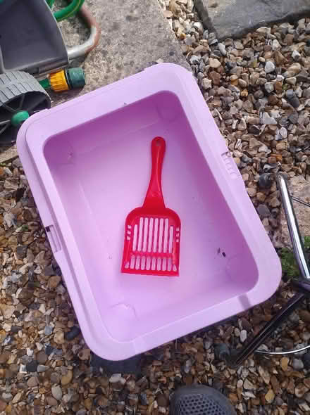 Photo of free Kitten Litterbox (Cippenham SL1) #1