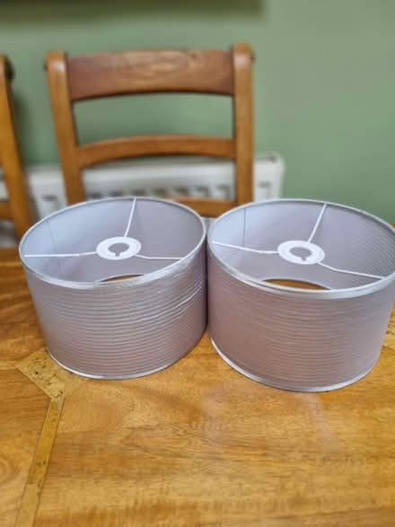 Photo of free Two lampshades ( ceiling) (Abingdon OX14) #1